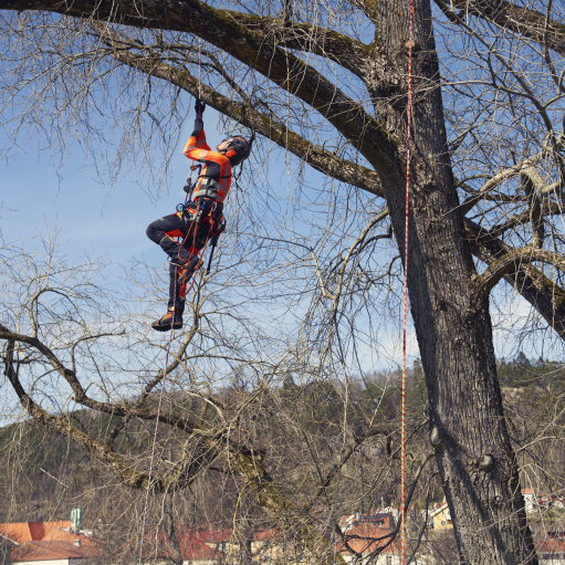 Husqvarna Climbing harness